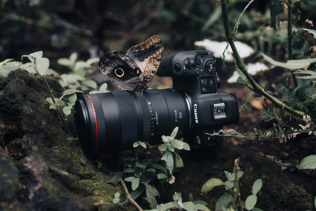 Canon RF 100 mm F2.8L Macro IS USM - Makro objektiv - Slika proizvoda s leptirom