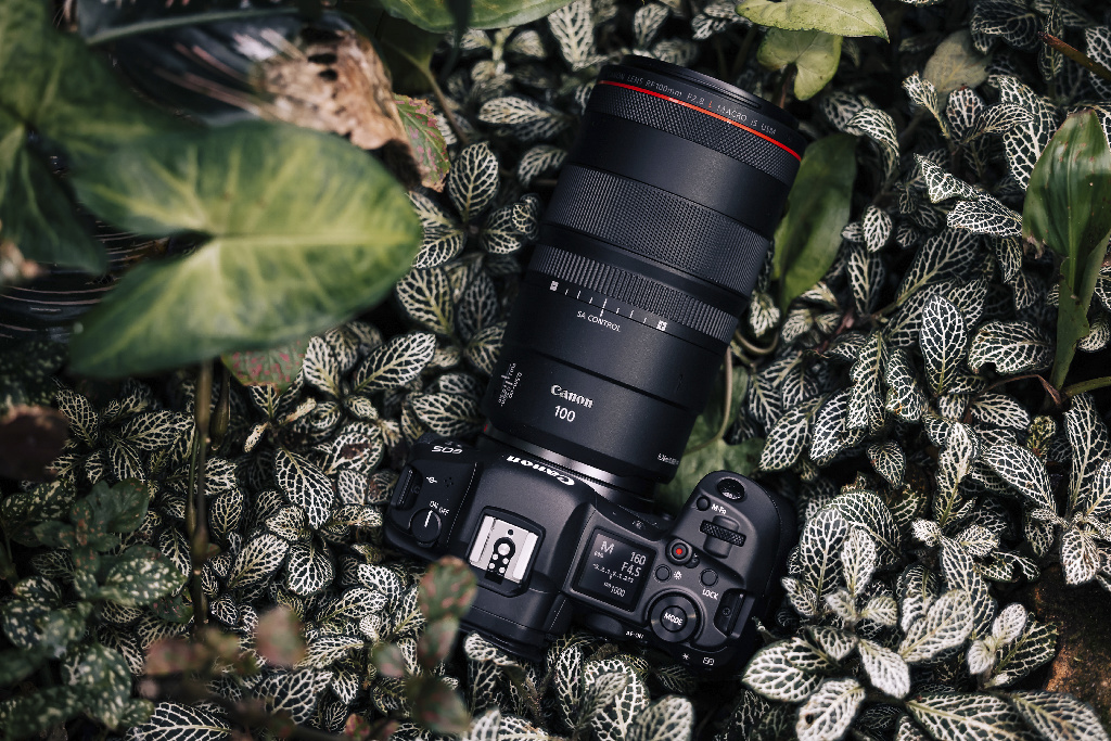 Canon RF 100 mm F2.8L Macro IS USM - Makro objektiv - Slika proizvoda s prirodom u pozadini