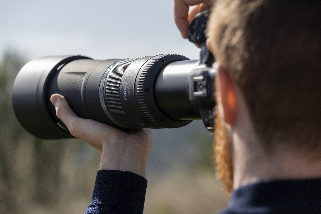 Canon RF 800 mm F11 IS STM - Fotograf ga koristi u prirodi
