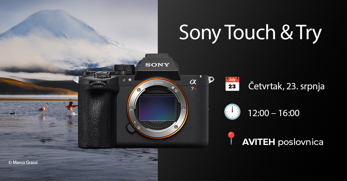 sony day
