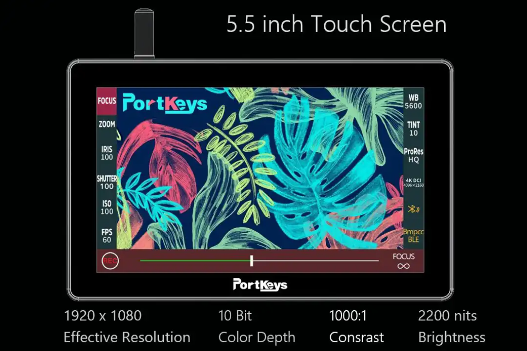 Screen Display Size